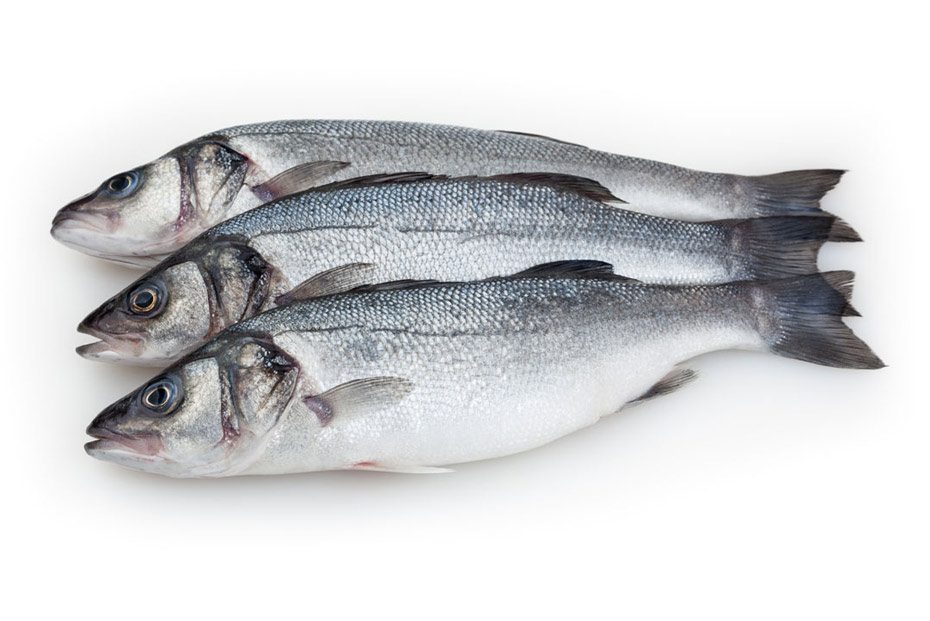 FILETTO DI BRANZINO