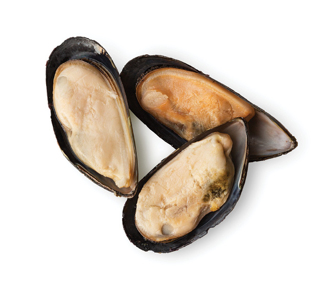 COZZE MEZZO GUSCIO