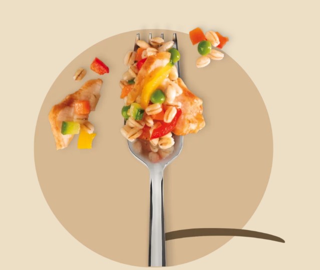 TAGLIATA POLLO ORZO E VERDURE