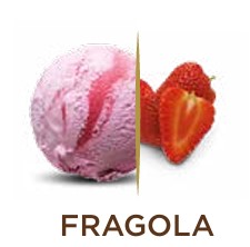 FRAGOLA